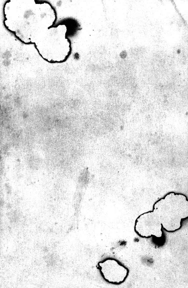 Page 38 Chapter 2 Ai no Konseki - Yajuu Gunsou to Aigan Guni