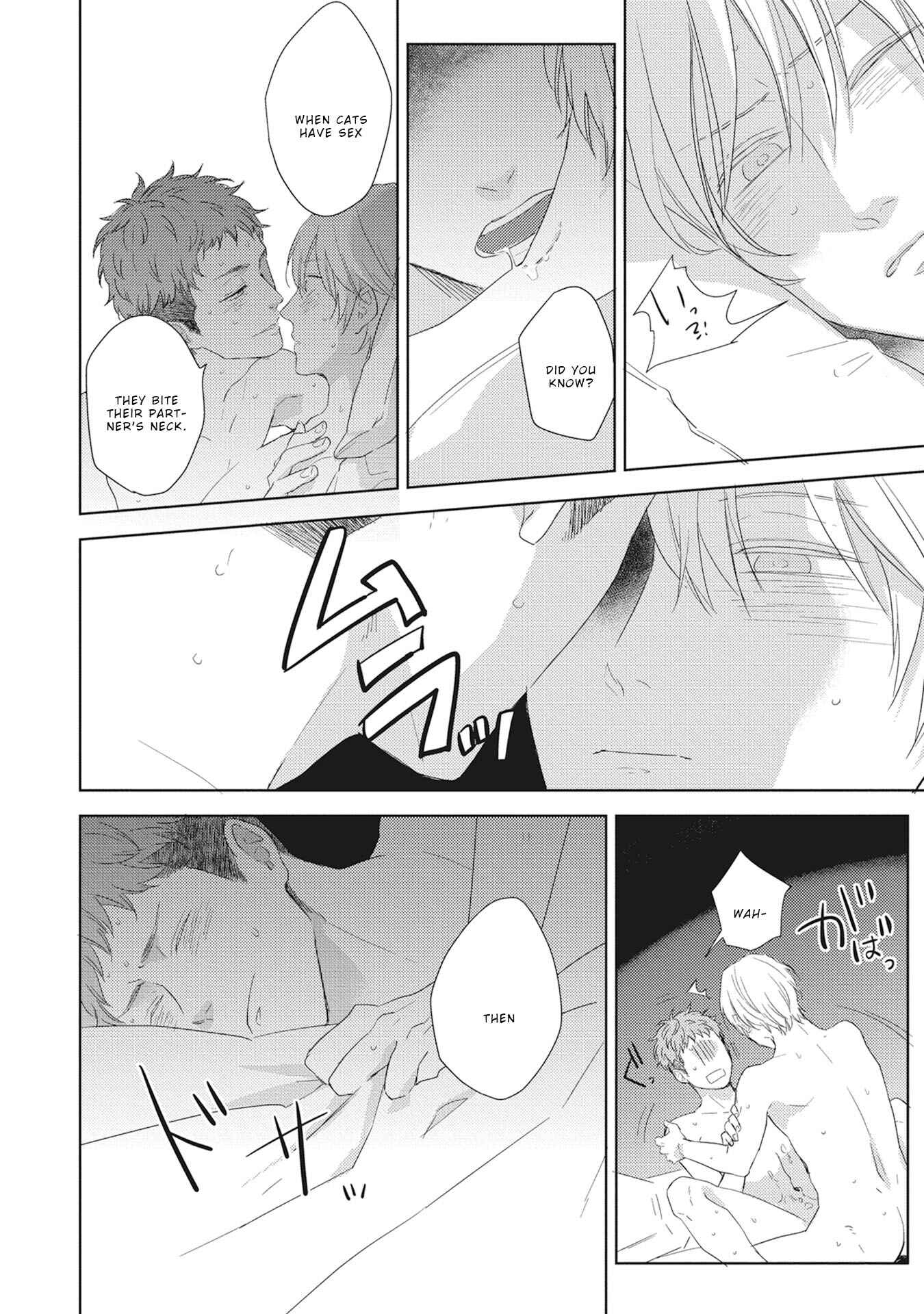 Page 19 Chapter 3 Kimagure Goshujin to Oshikake Neko