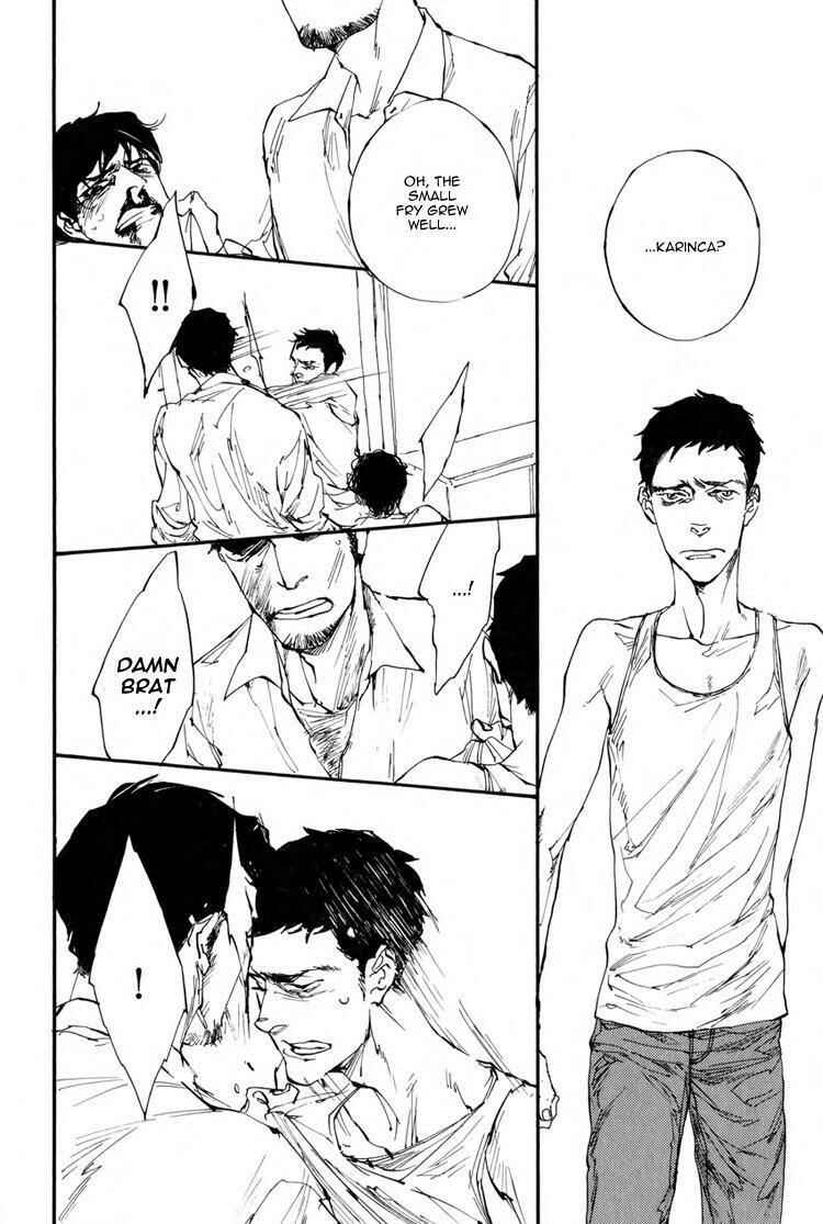 Page 23 Chapter 4 Birds