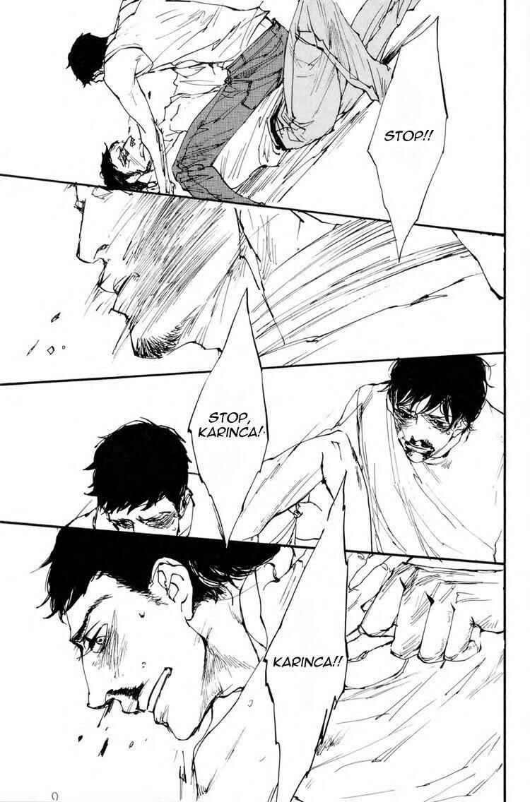 Page 24 Chapter 4 Birds
