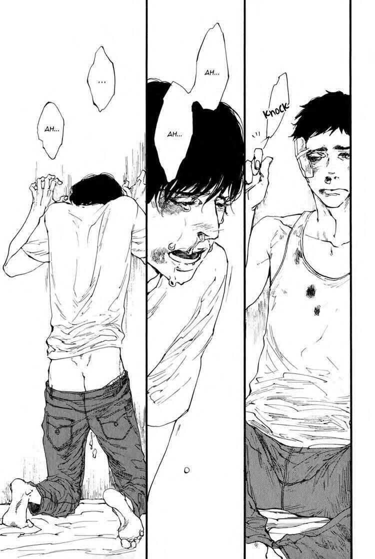 Page 30 Chapter 4 Birds