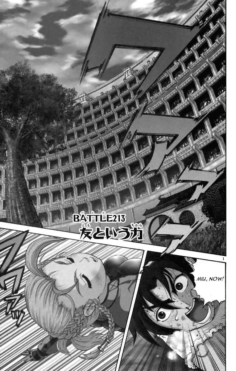 Page 1 Chapter 213 Shijou Saikyou no Deshi Kenichi