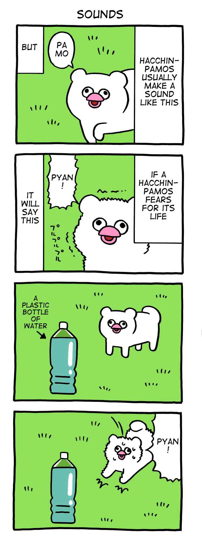 Page 1 Chapter 43 Critically Endangered Animal Hattin Pamos