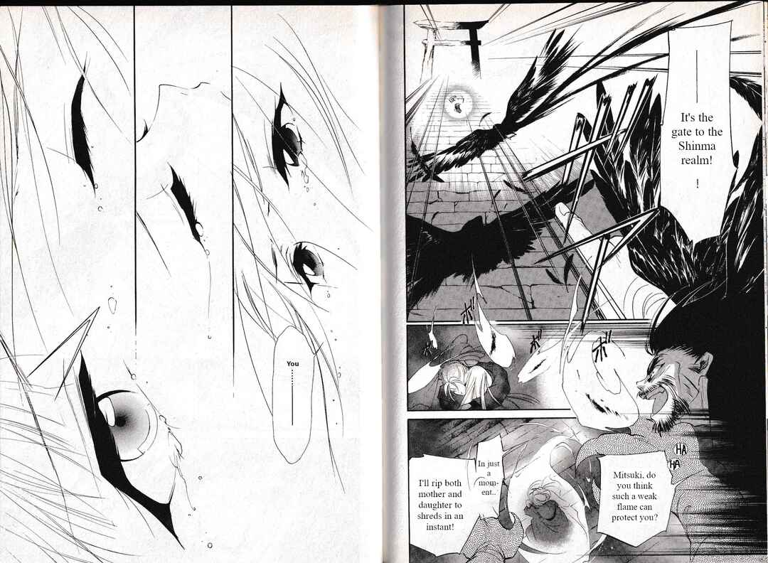 Page 11 Chapter 34 Vampire Princess Miyu: Saku