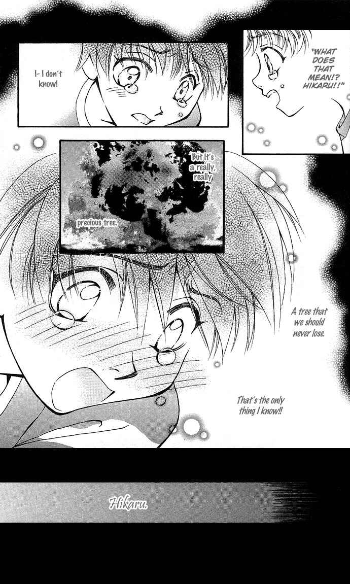 Page 12 Chapter 5 Global Garden