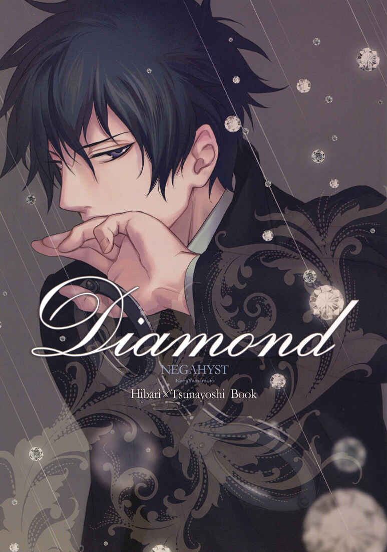 Page 18 Chapter Unknown_6905 Katekyo Hitman Reborn! - Diamond (Doujinshi)