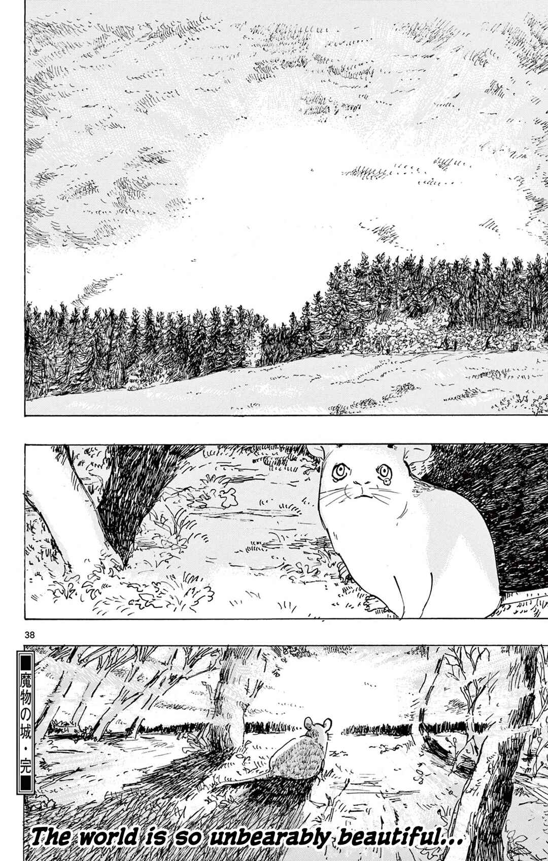 Page 38 Chapter Unknown_49c5 Castle of Mamono