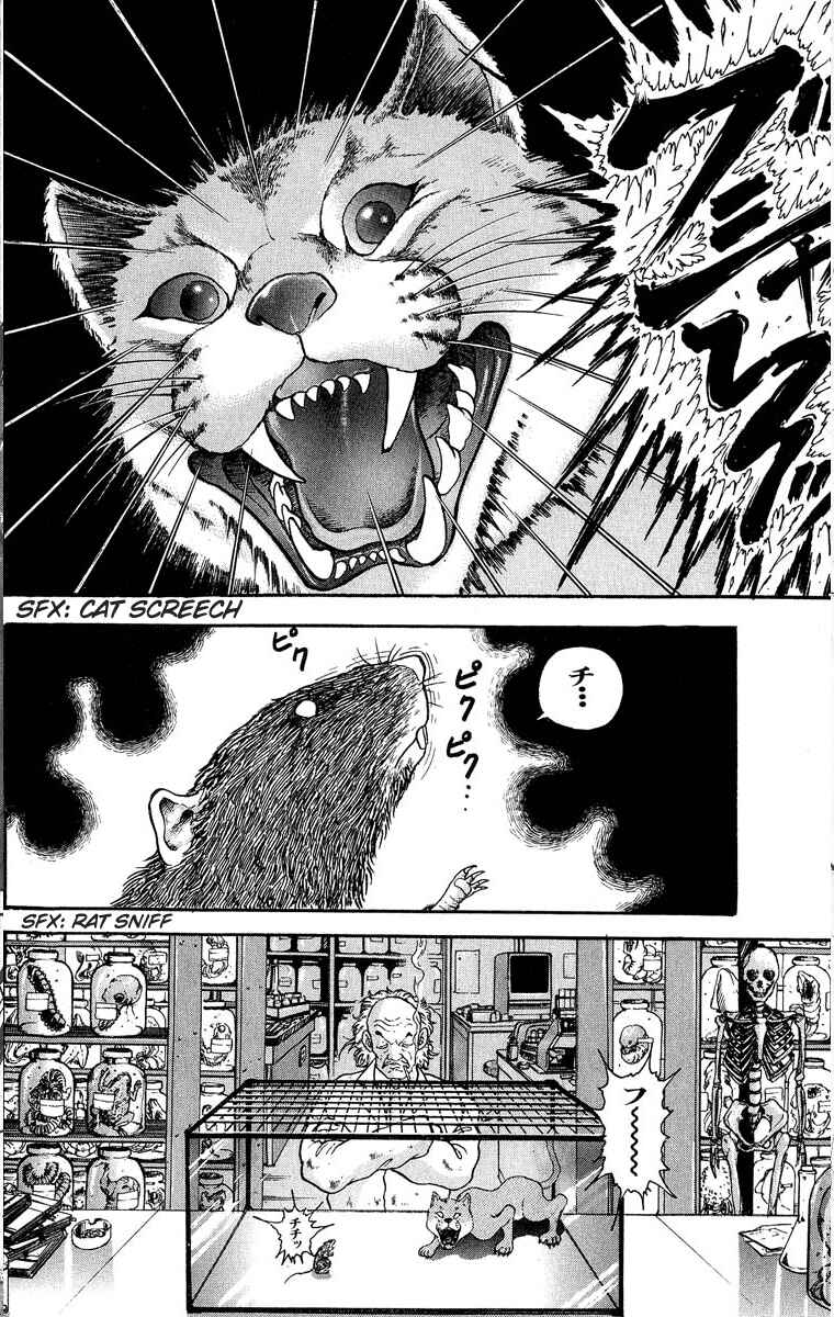 Page 2 Chapter 301 Grappler Baki