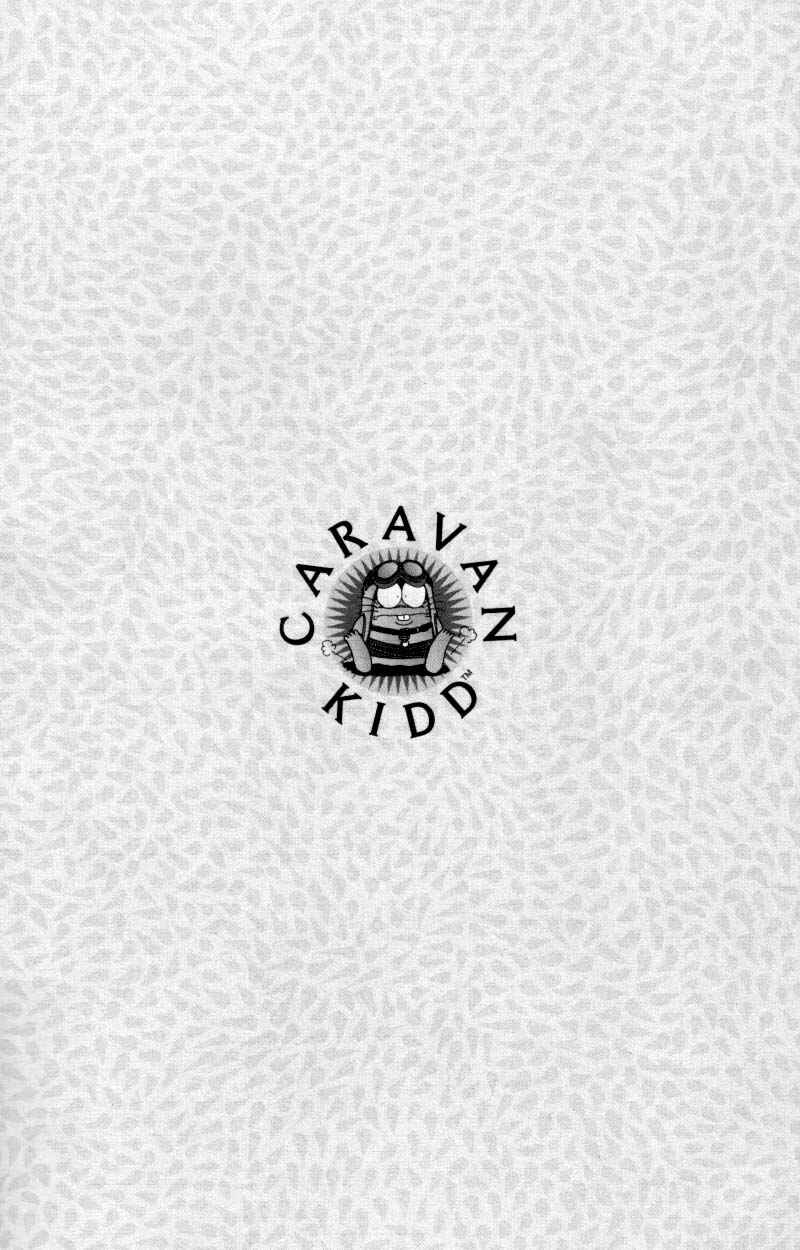 Page 27 Chapter 20 Caravan Kidd