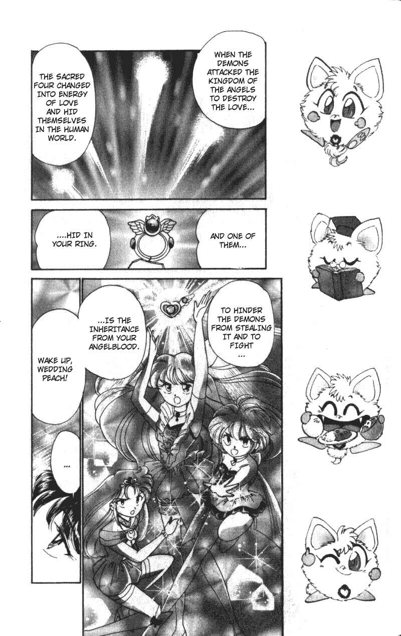 Page 5 Chapter 4 Wedding Peach: Young Love
