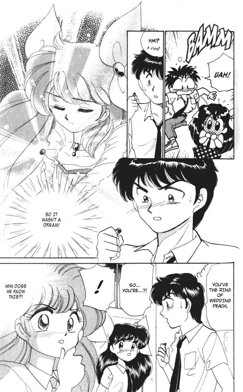 Page 9 Chapter 4 Wedding Peach: Young Love