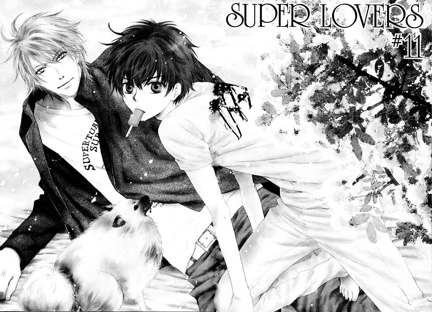 Page 2 Chapter 11 Super Lovers