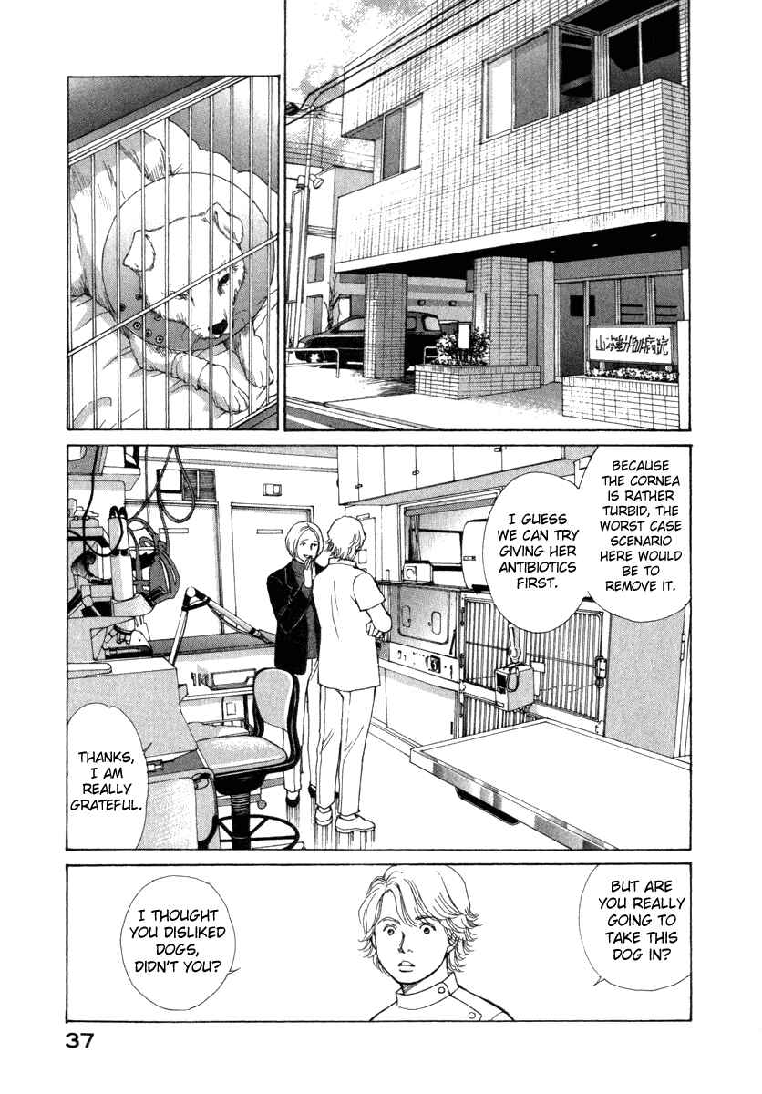 Page 15 Chapter 19 ES