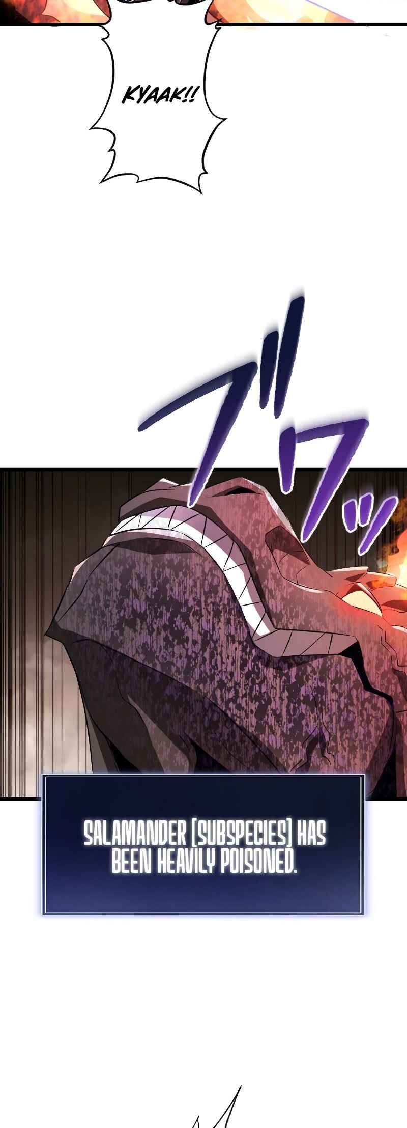 Page 17 Chapter 12 The Unparalleled Hidden Rank Equipment