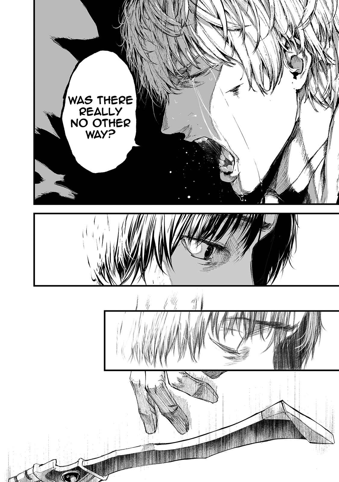 Page 20 Chapter 17 Boushoku-Hi no Ken
