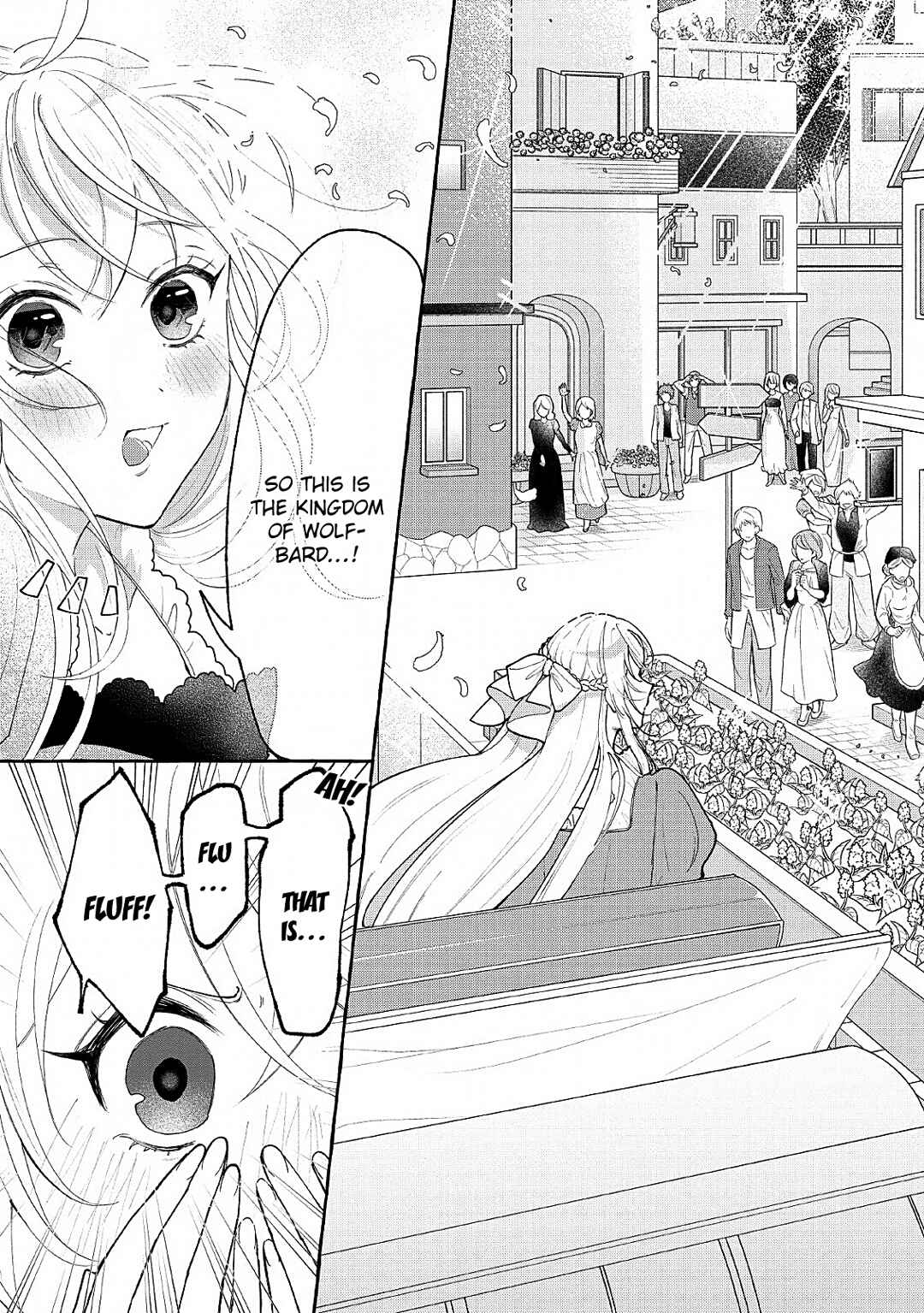 Page 11 Chapter 3 Tensei-saki de Suterareta Node, Mofumofu-tachi to Oryouri Shimasu ~Okazari Ouhi wa My Pace ni Saikyou Desu~