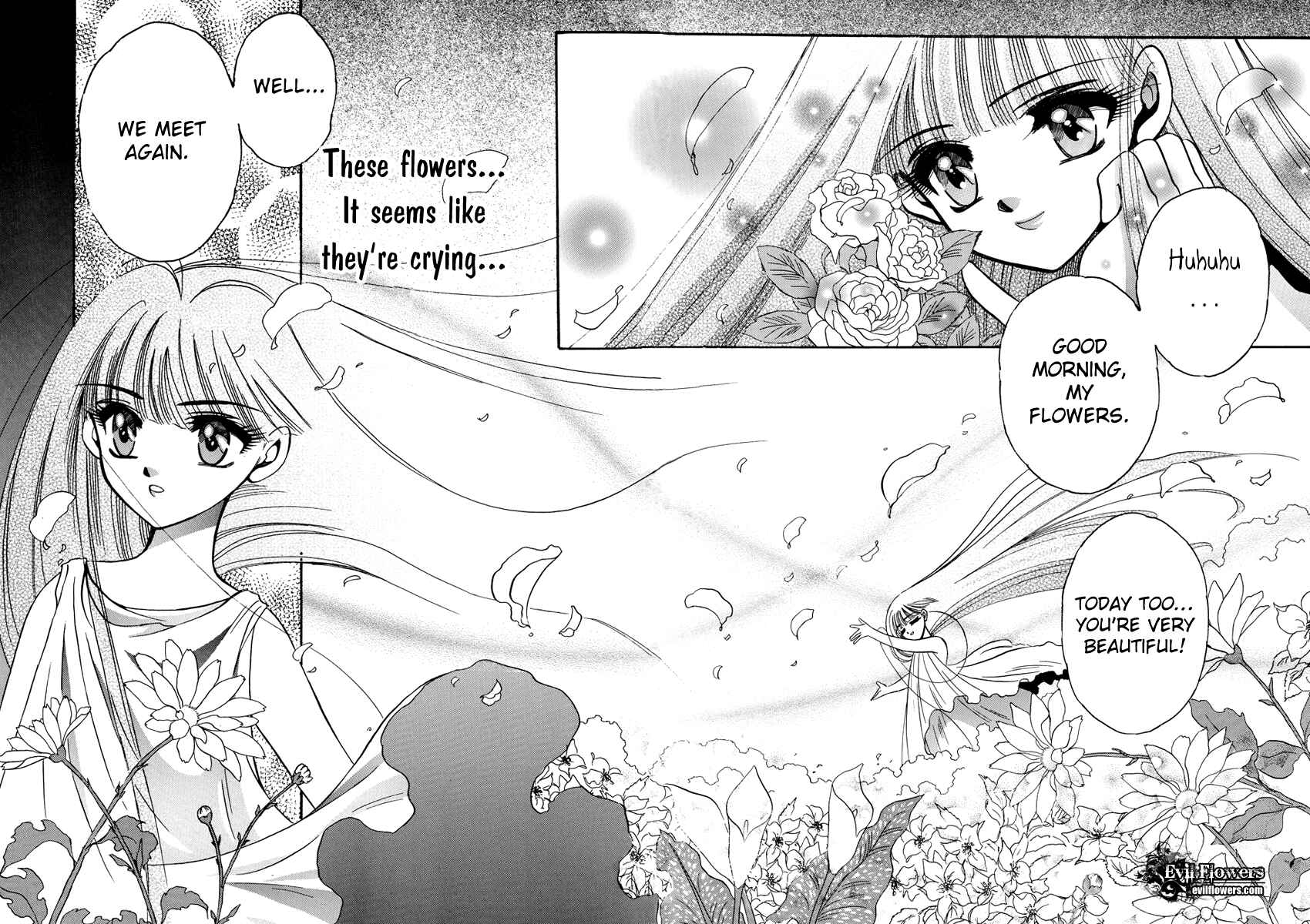 Page 2 Chapter 2 Shade