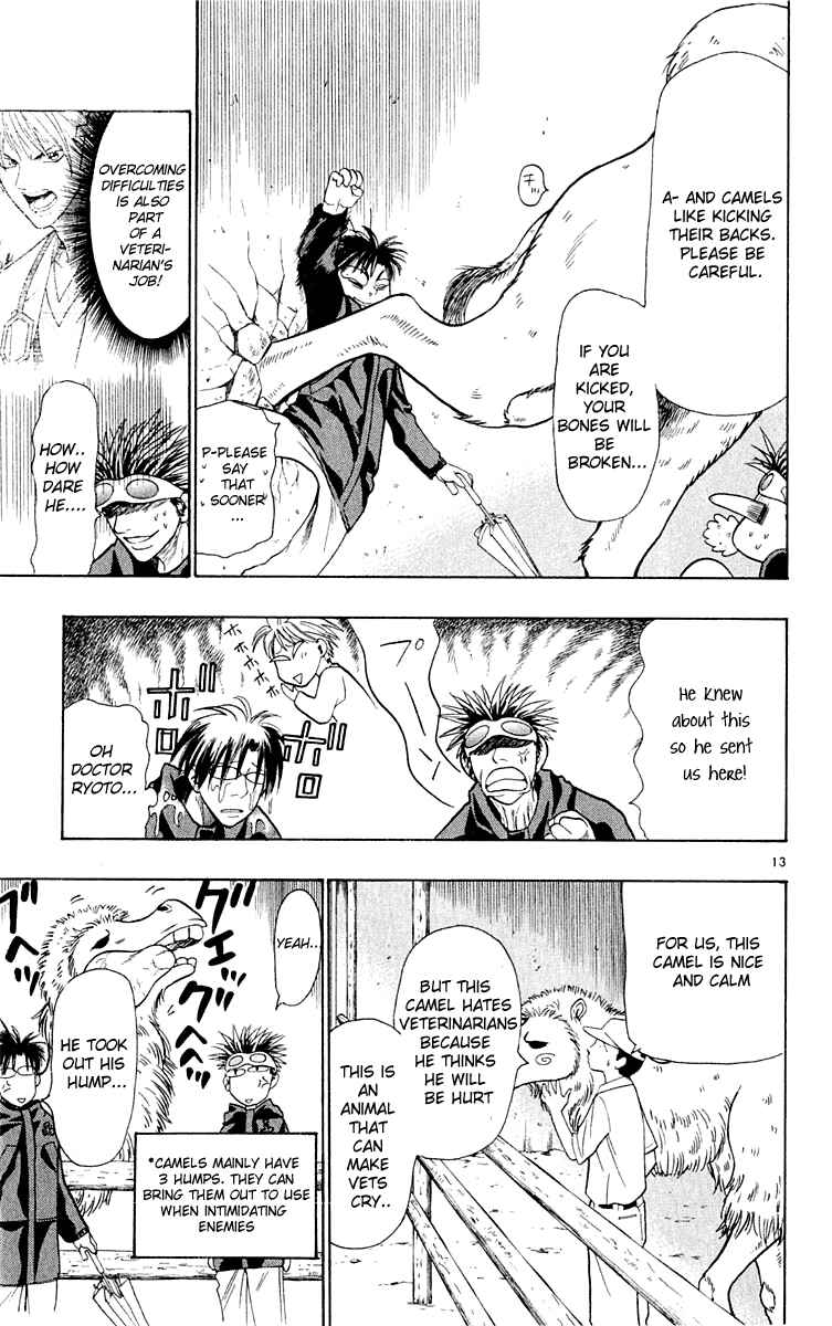 Page 13 Chapter 15 Wild Life