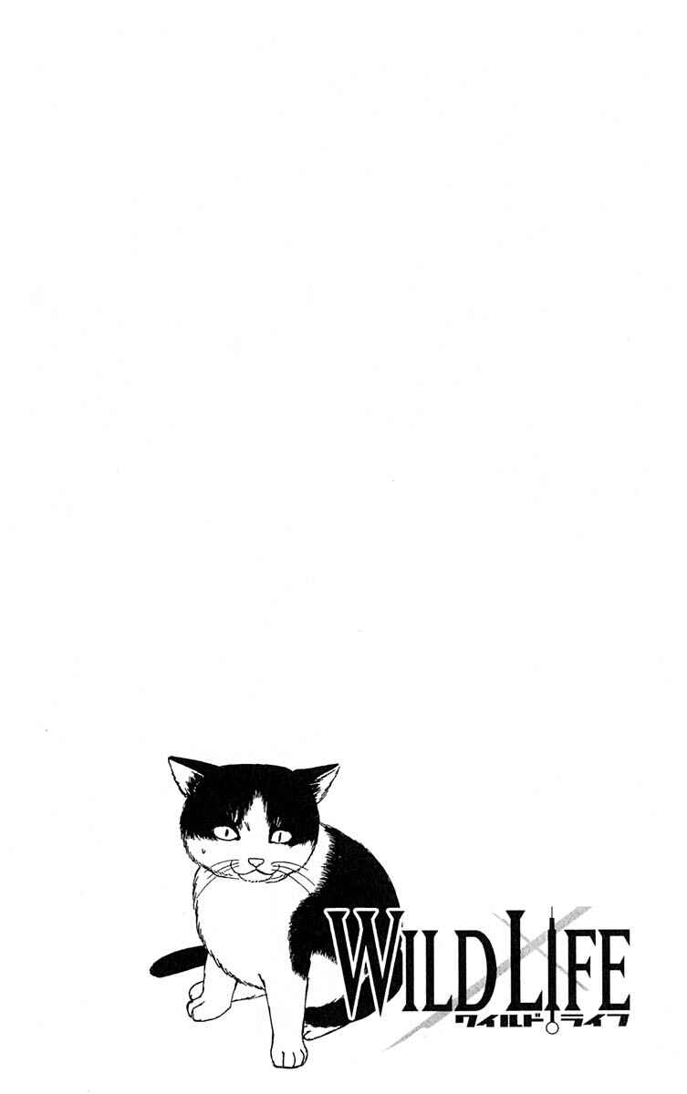 Page 3 Chapter 9 Wild Life