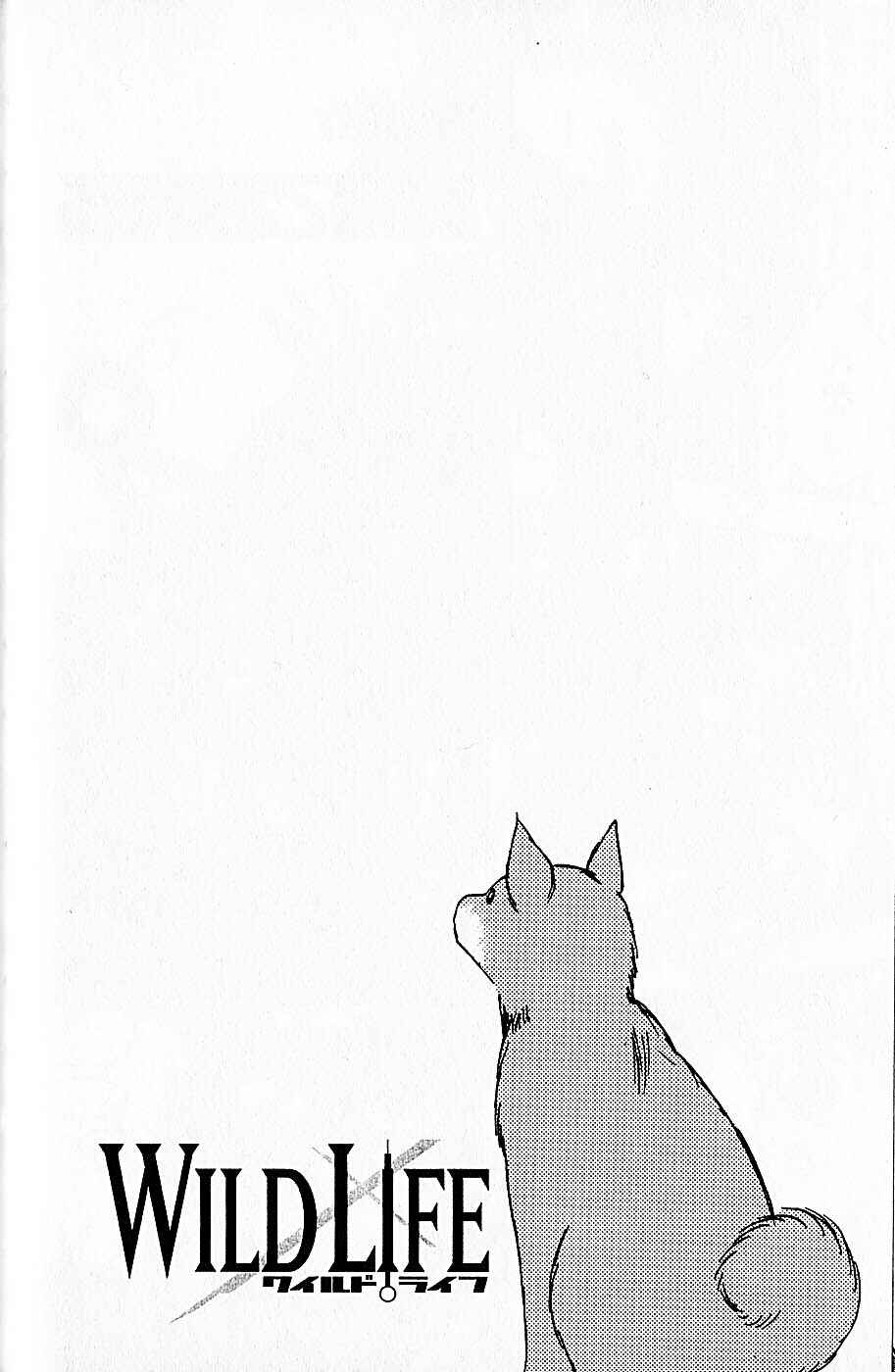 Page 5 Chapter 38 Wild Life