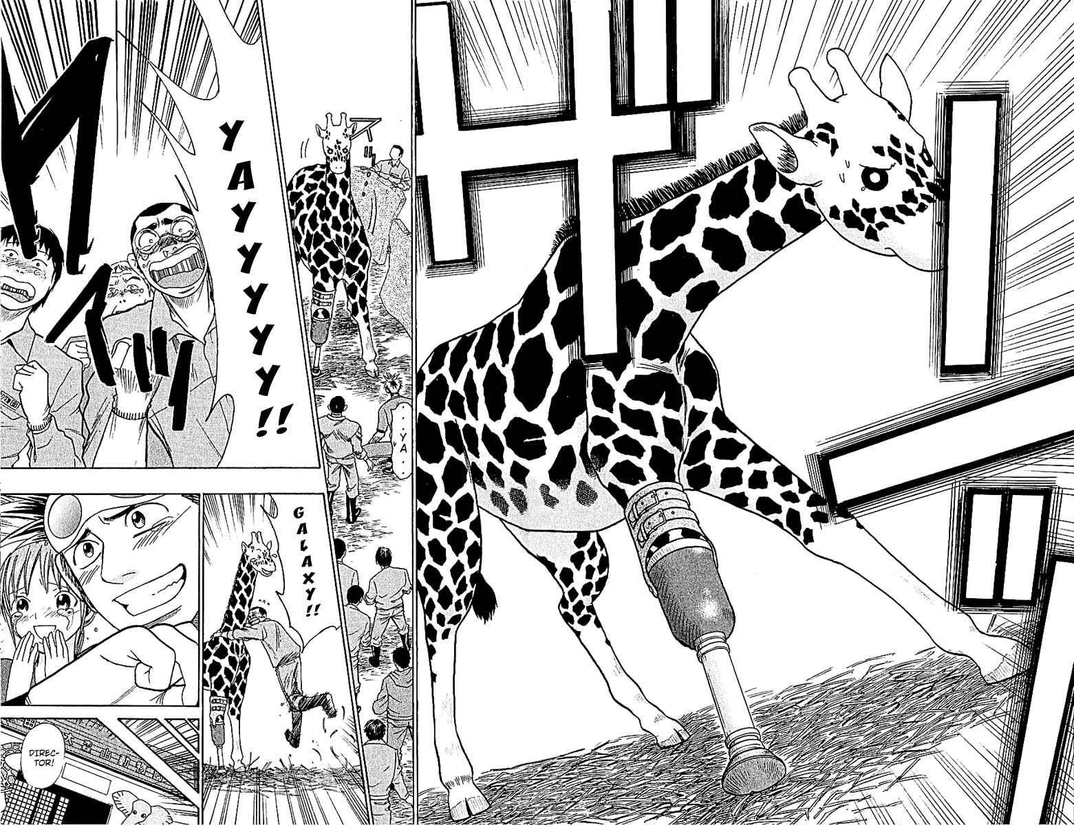 Page 19 Chapter 46 Wild Life