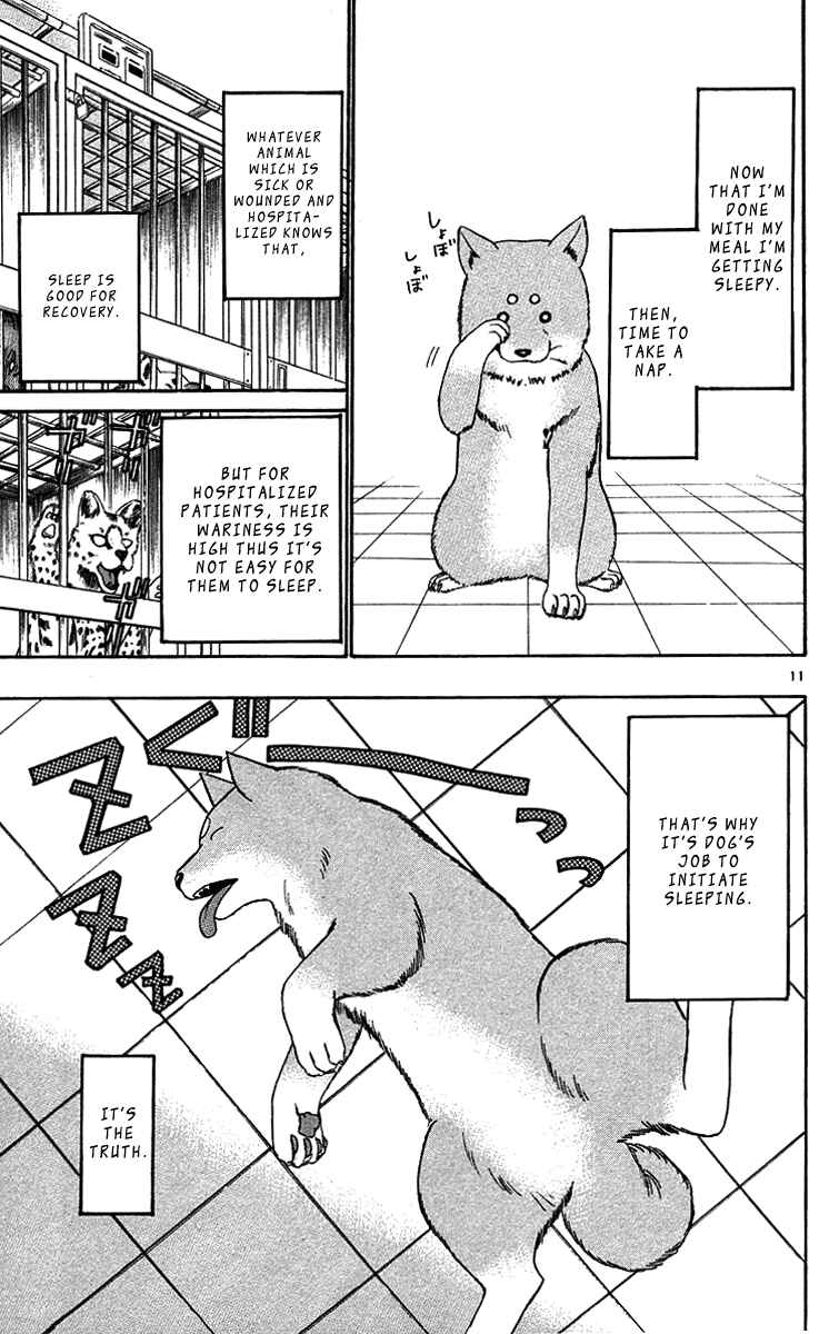 Page 11 Chapter 32 Wild Life