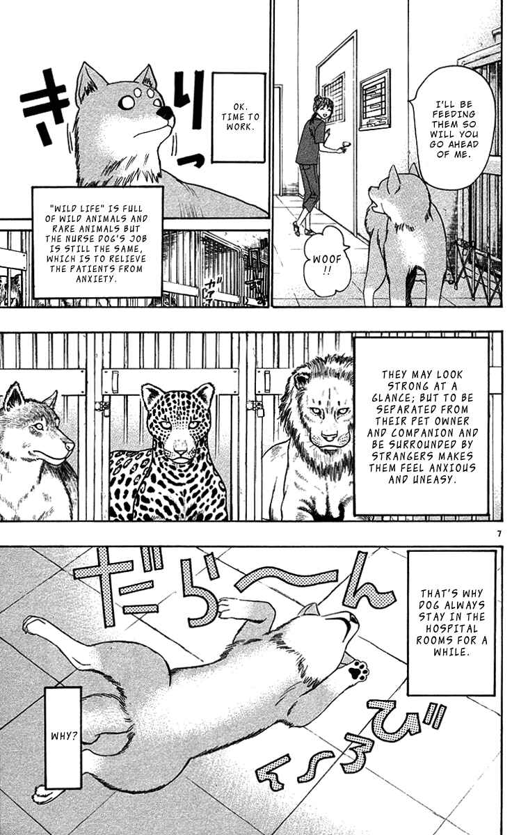 Page 7 Chapter 32 Wild Life