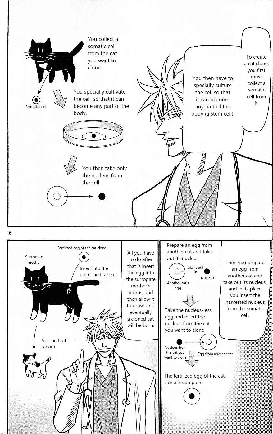 Page 6 Chapter 82 Wild Life