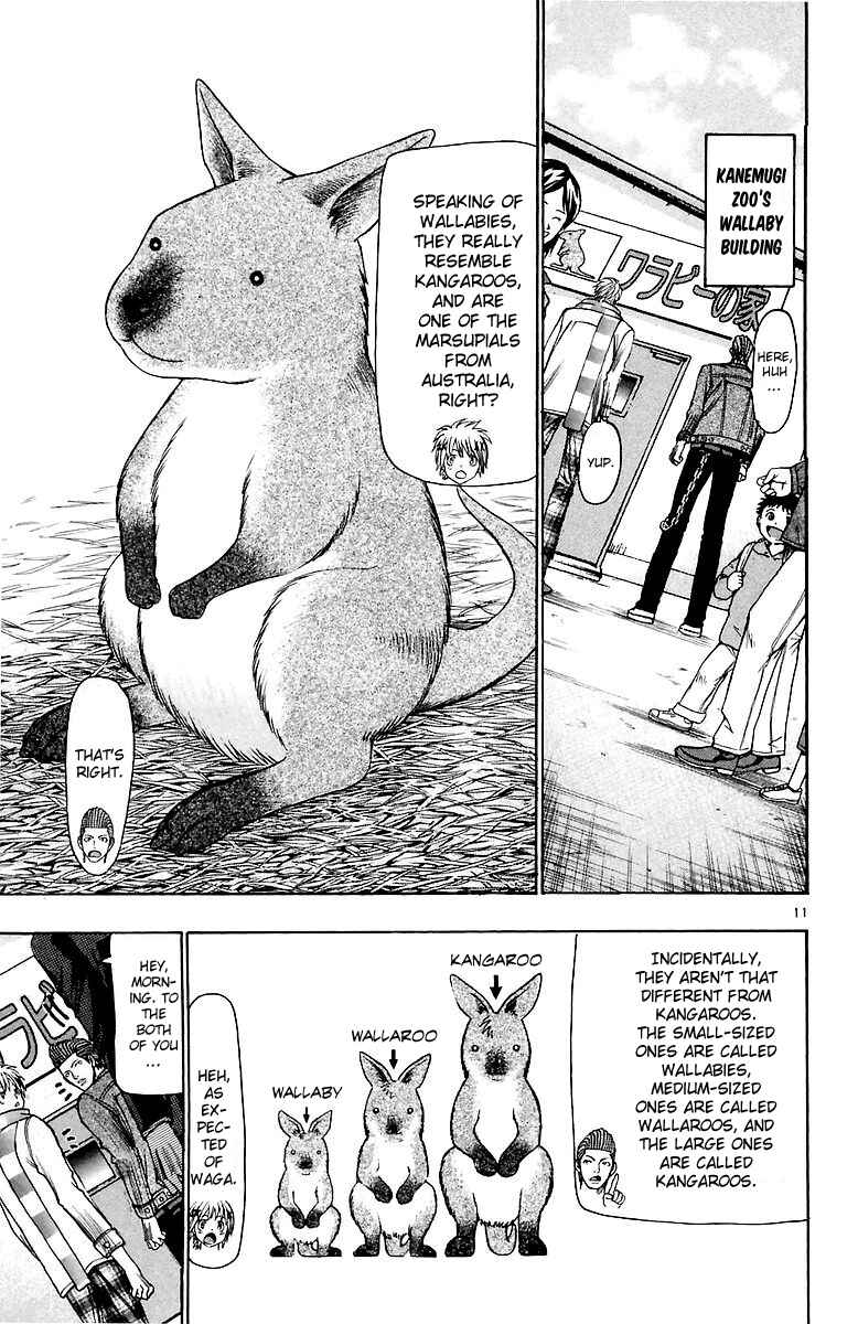 Page 11 Chapter 156 Wild Life