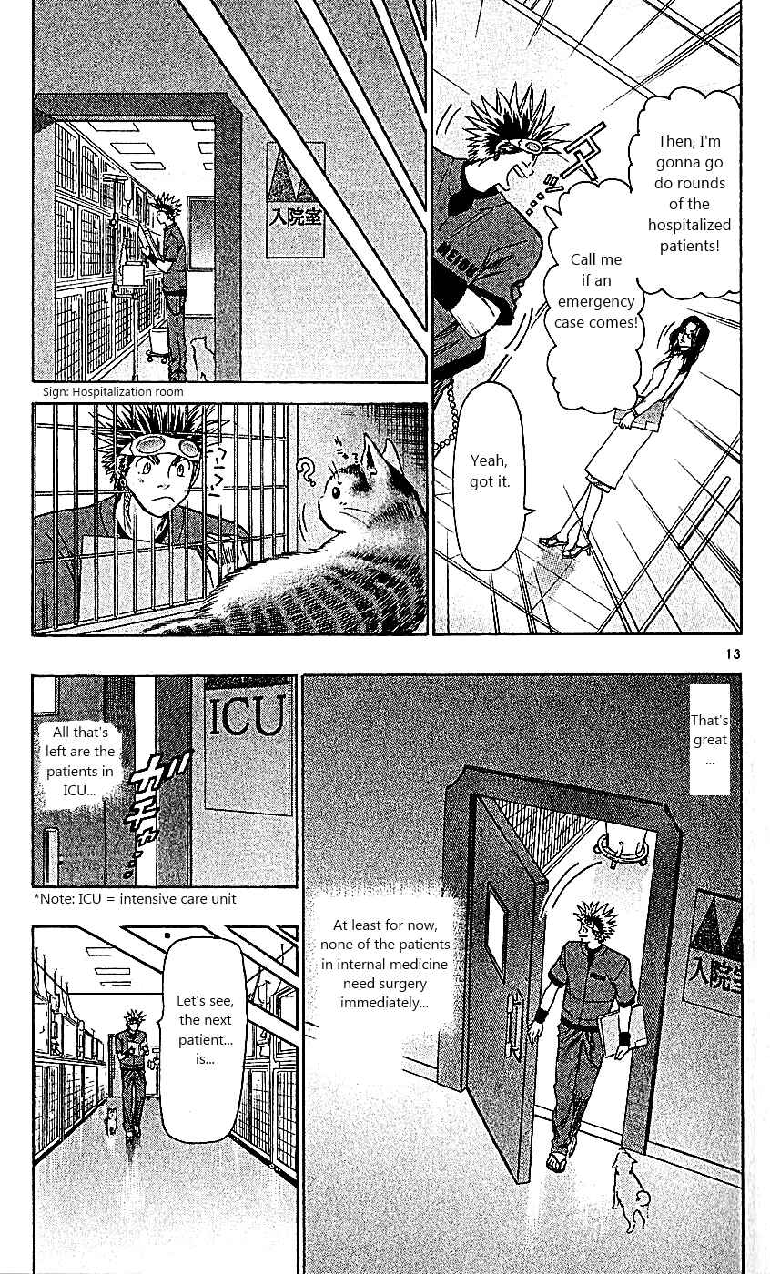 Page 13 Chapter 107 Wild Life