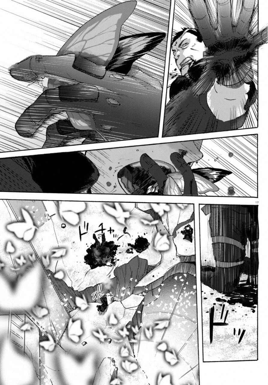 Page 13 Chapter 23 Butterfly Storage