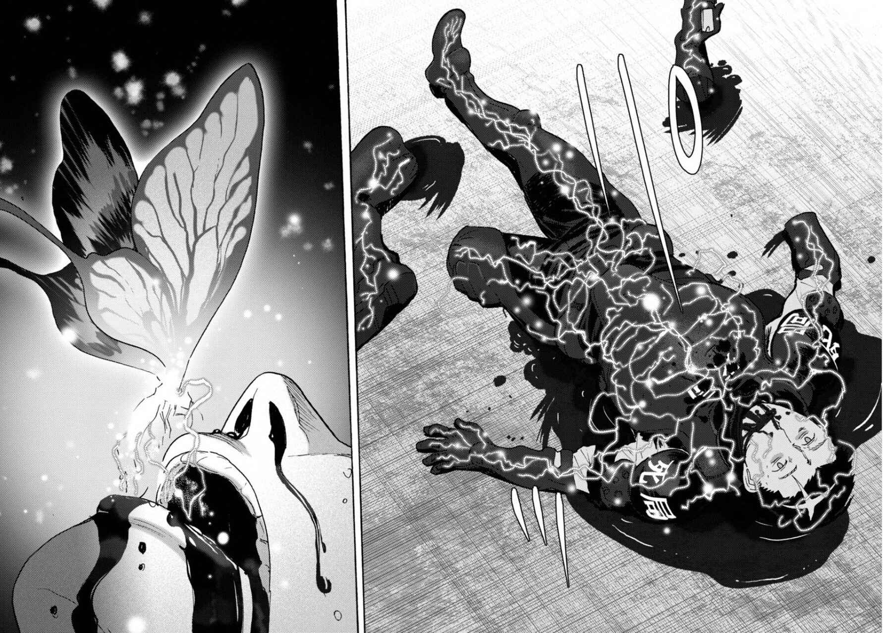 Page 4 Chapter 23 Butterfly Storage