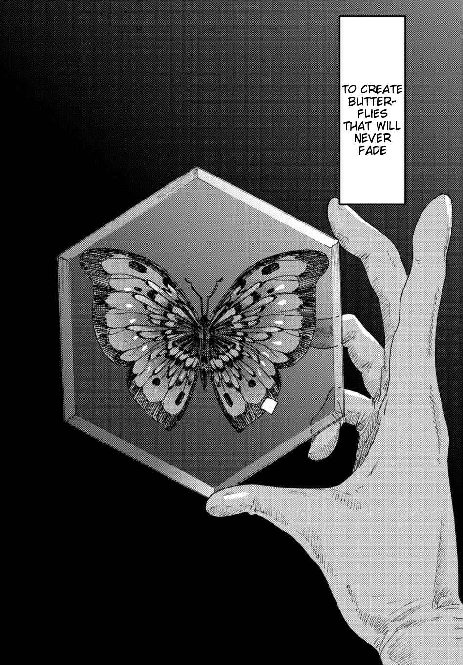 Page 5 Chapter 3 Butterfly Storage