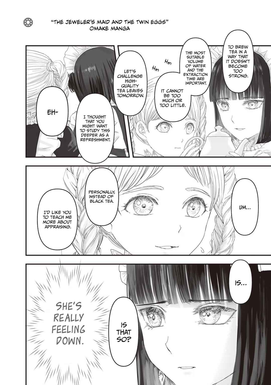 Page 13 Chapter 17.5 Housekishou no Maid