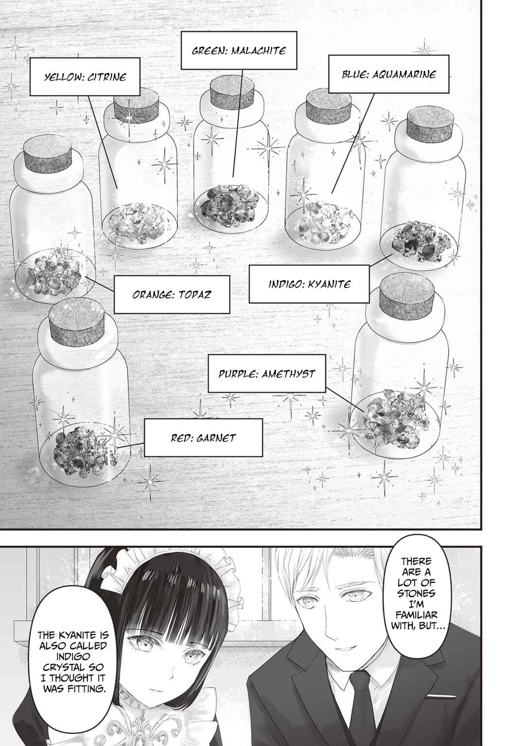 Page 10 Chapter 14.5 Housekishou no Maid