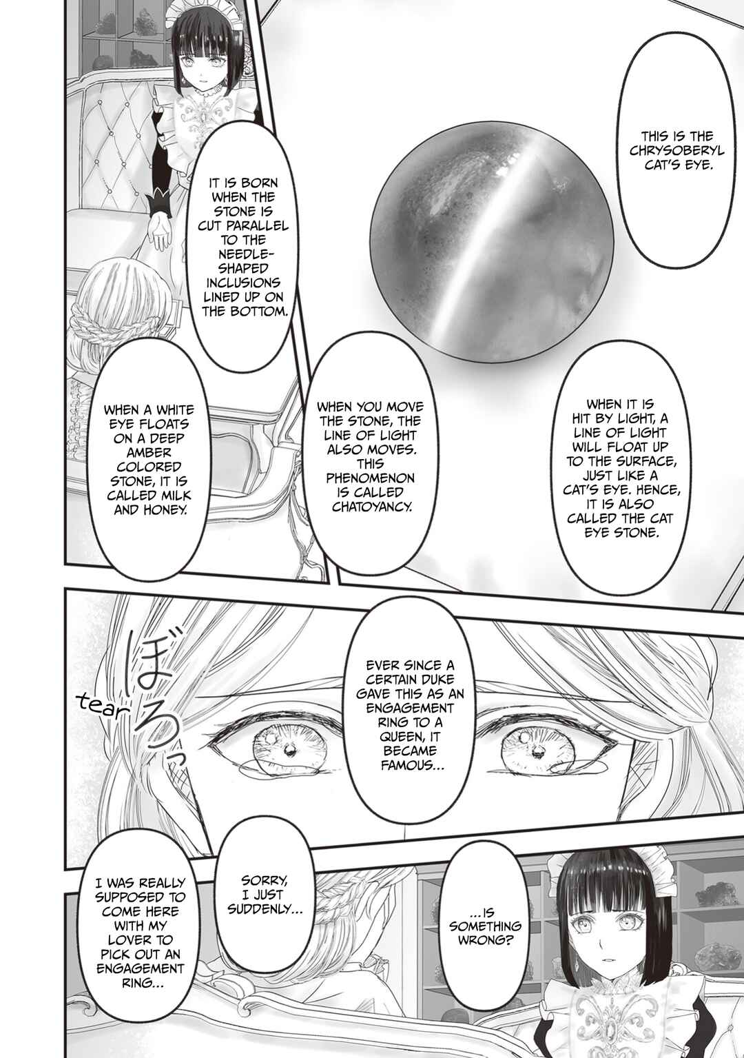 Page 37 Chapter 25 Housekishou no Maid