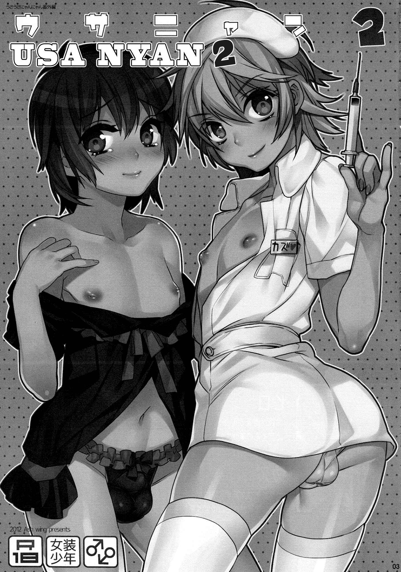 Page 3 Chapter 2 Usa Nyan