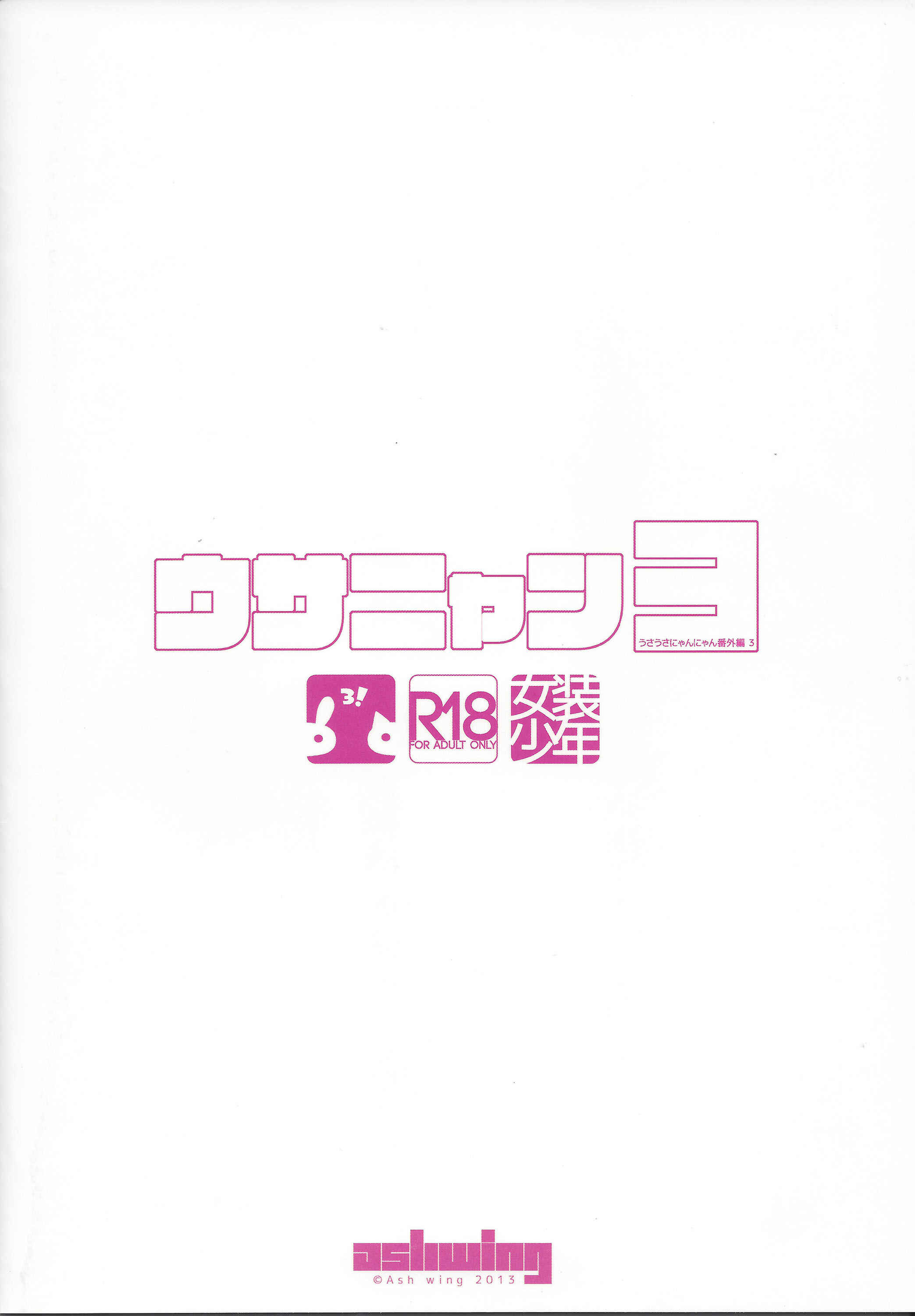 Page 29 Chapter 3 Usa Nyan