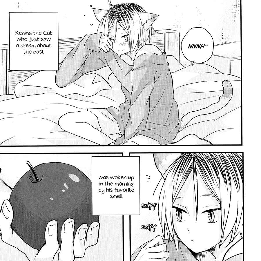 Page 28 Chapter Unknown_fb7e Haikyu!! - Neko to Ringo (Doujinshi)