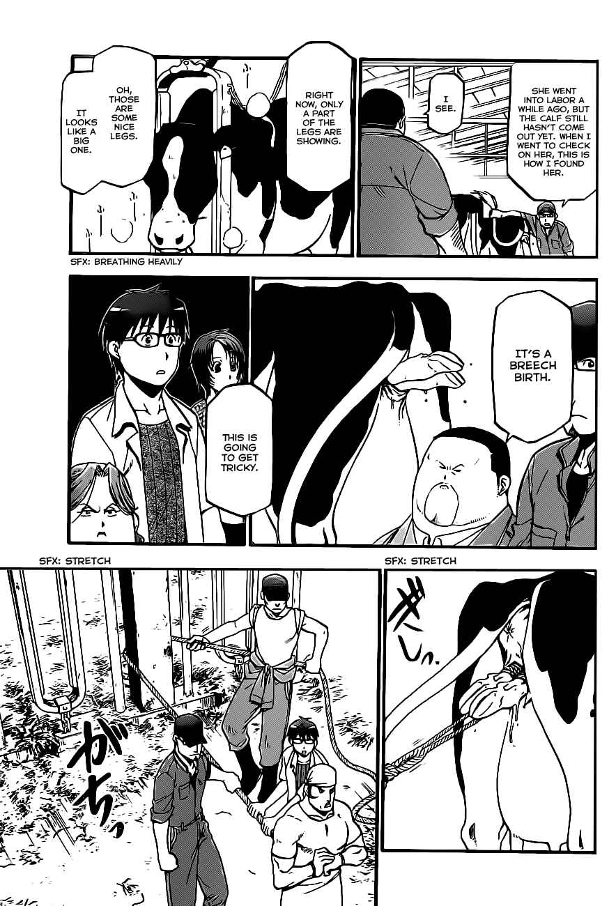 Page 13 Chapter 17 Gin no Saji - ~ Silver Spoon ~