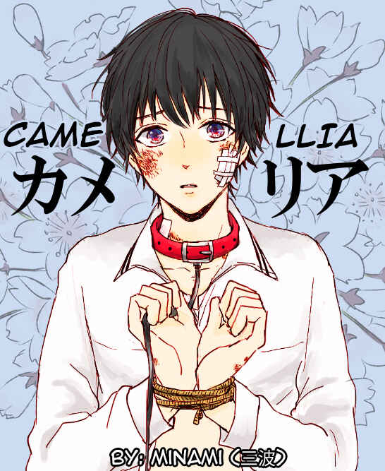Page 3 Chapter 2 Camelia