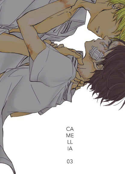 Page 3 Chapter 3 Camelia