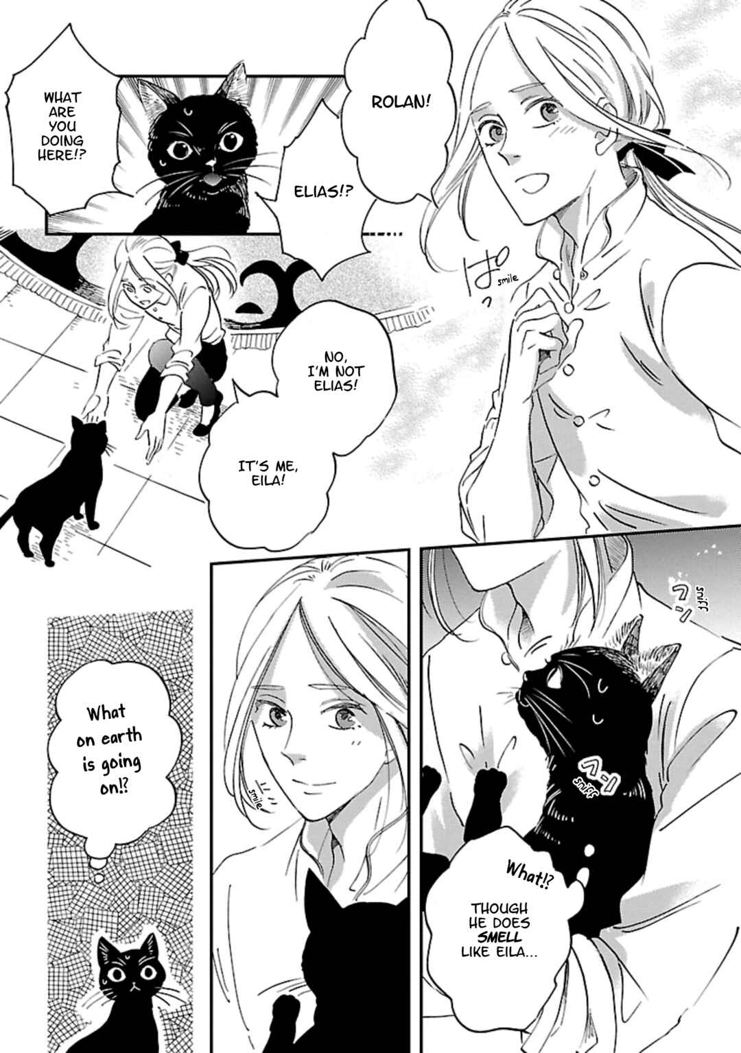 Page 11 Chapter 6 Eila to Totsukuni no Ou