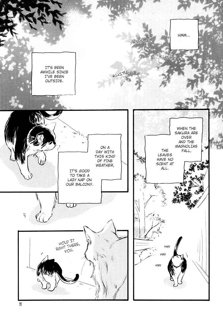 Page 11 Chapter Unknown_0de6 Ichika Nikki
