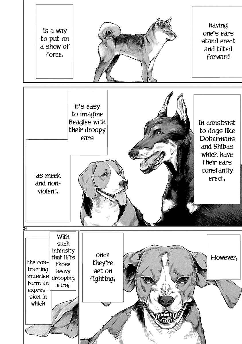 Page 23 Chapter 66 Killing Bites
