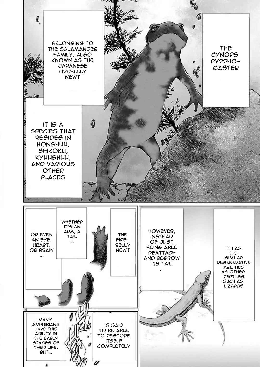 Page 17 Chapter 46 Killing Bites