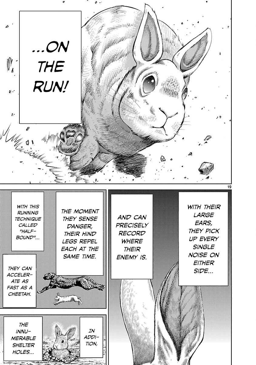 Page 19 Chapter 19 Killing Bites