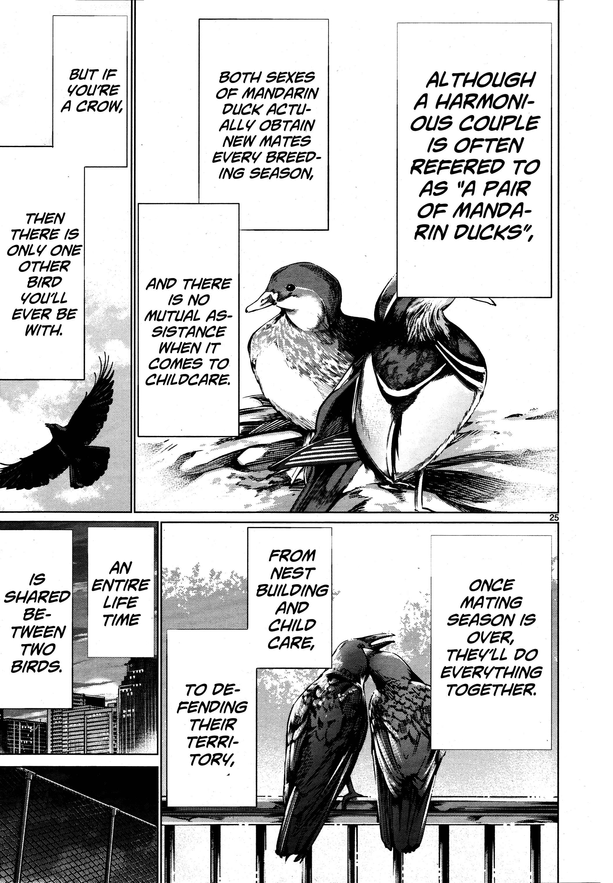 Page 25 Chapter 72 Killing Bites