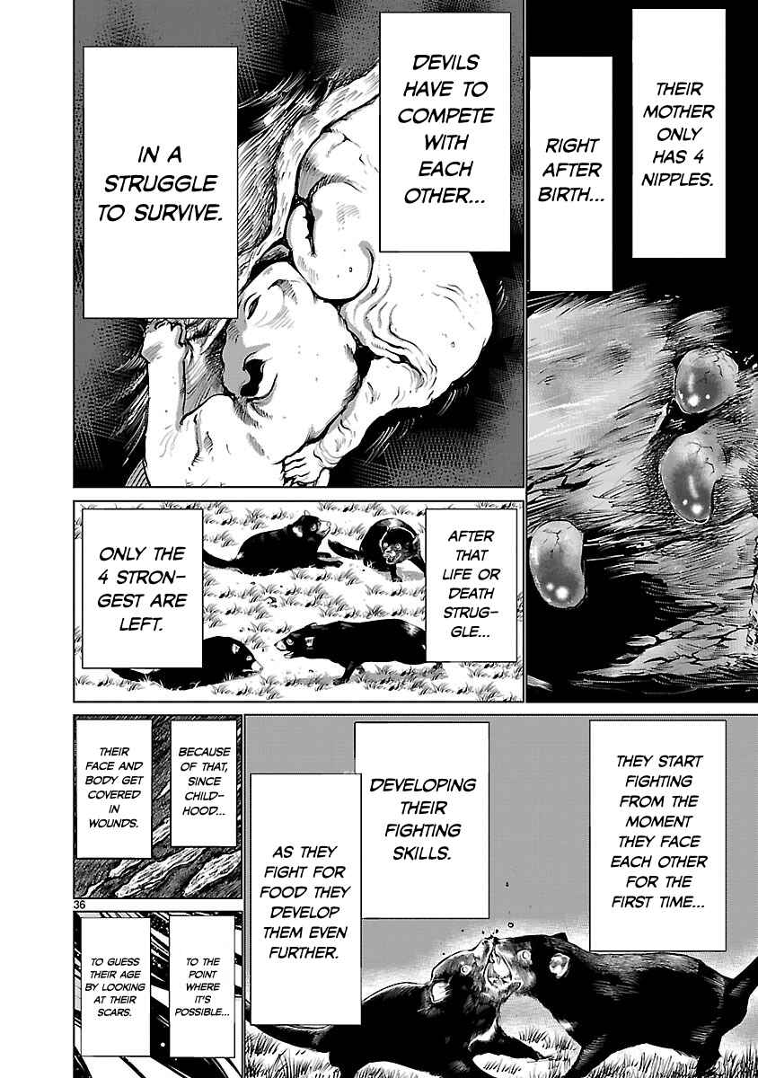 Page 36 Chapter 36 Killing Bites