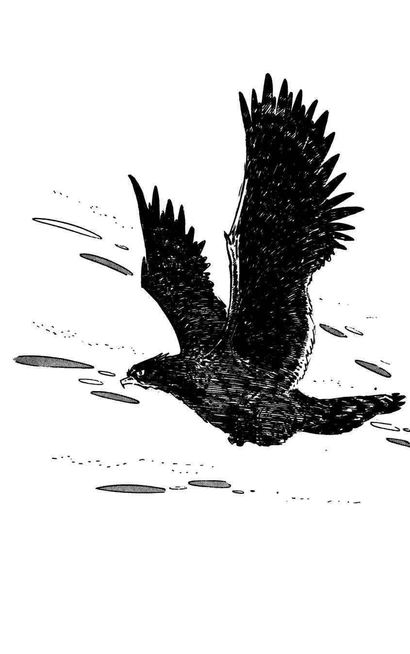 Page 47 Chapter 8 Flap Your Wings, Taromaru!